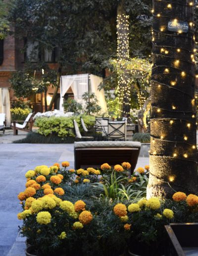 a tranquil courtyard in a hotel in the himalayas