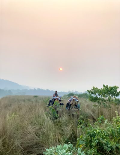 tourists ride two elephants on a tour at sunset in nepal