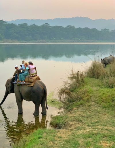 tourists sit on an elephant taking a drink from a river in nepal