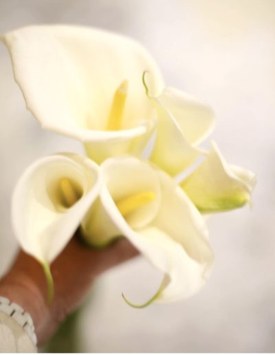 a woman holds a bunch of lilies