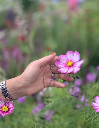 a woman folds a pink flower